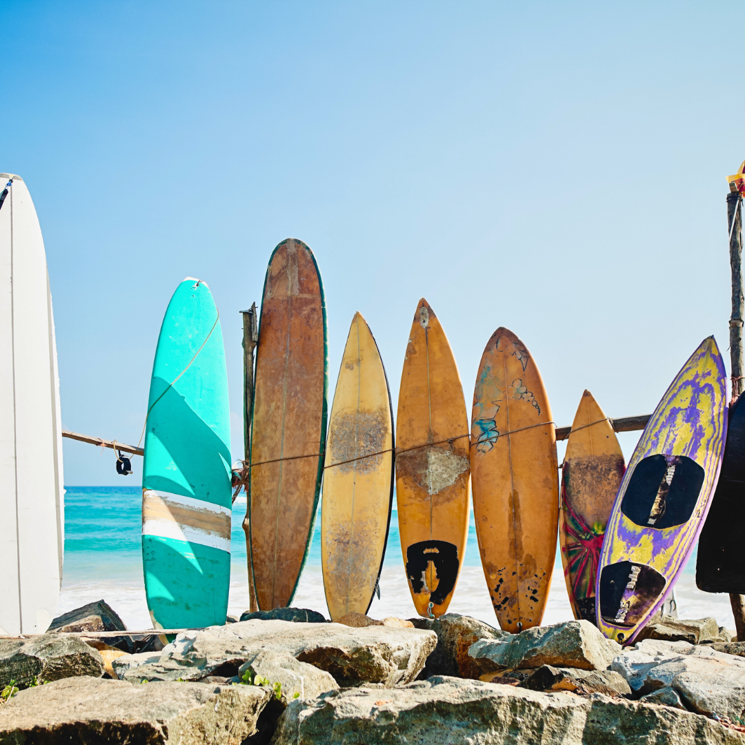 Lineup of wakesurf boards from different eras showing design evolution from traditional surf shapes to precision-engineered boards.